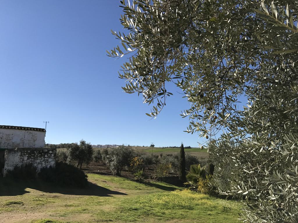 Cortijo Vina Del Duco Country house